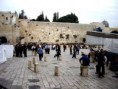 /album/fotogalerie-jerusalem/a653-47525896799-1558-n-jpg/